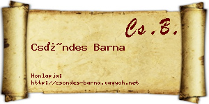 Csöndes Barna névjegykártya
